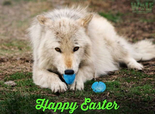 Happy_easter_sm