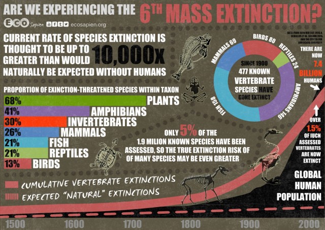 are-we-experiencing-the-sixth-mass-extinction-wolf-conservation-center