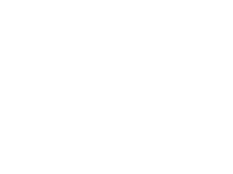 Wolf Pass Logo Light