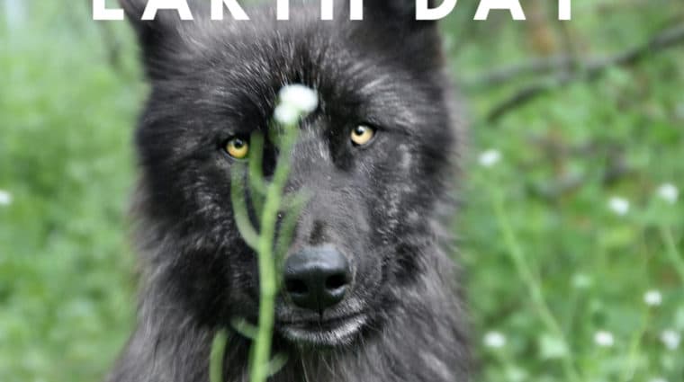 Happy Earth Day