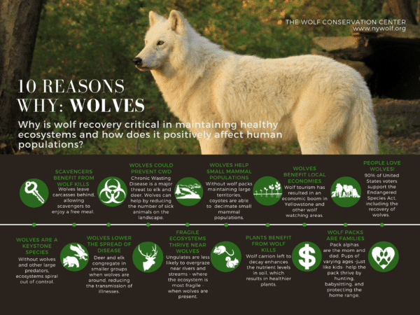 Graphics for Educators | Wolf Conservation Center