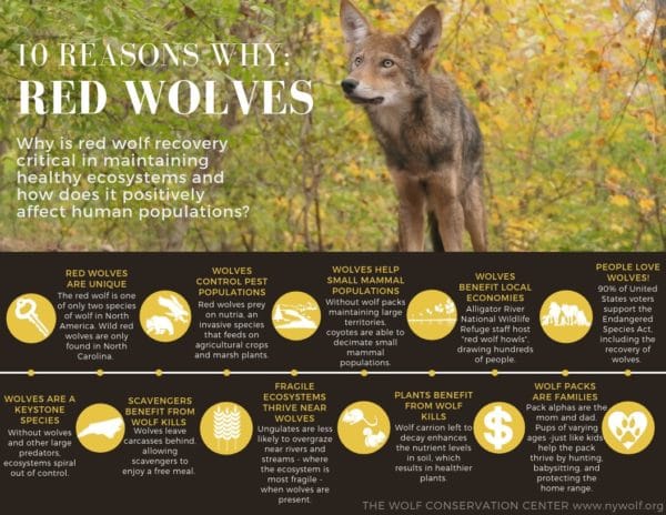 Graphics For Educators | Wolf Conservation Center