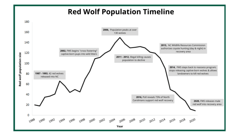 Red Wolf Population Graph | Wolf Conservation Center