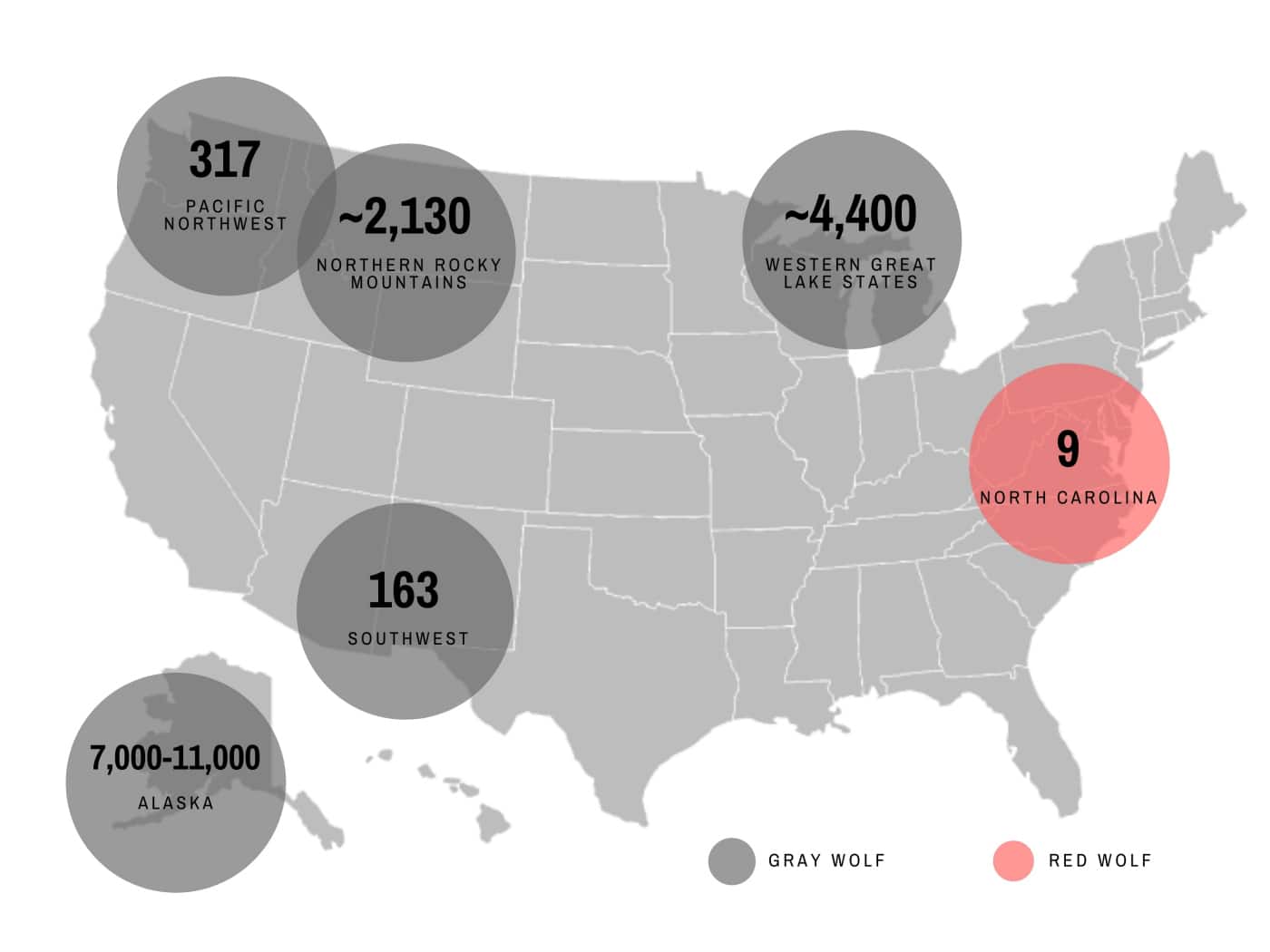 How Many Wild Wolves Are In The United States Wolf Conservation Center
