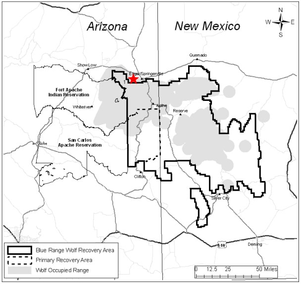 mexican grey wolf map