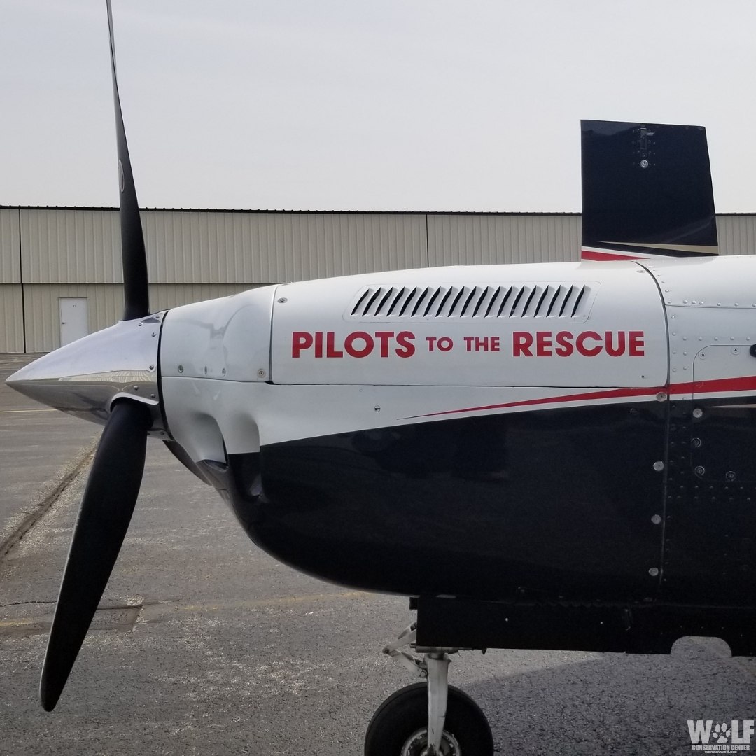Flying in style! Pilots to the Rescue generously offered to fly Deven to North Carolina.
