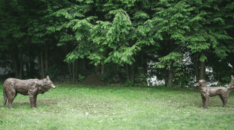 ColleenRudolf Encounter