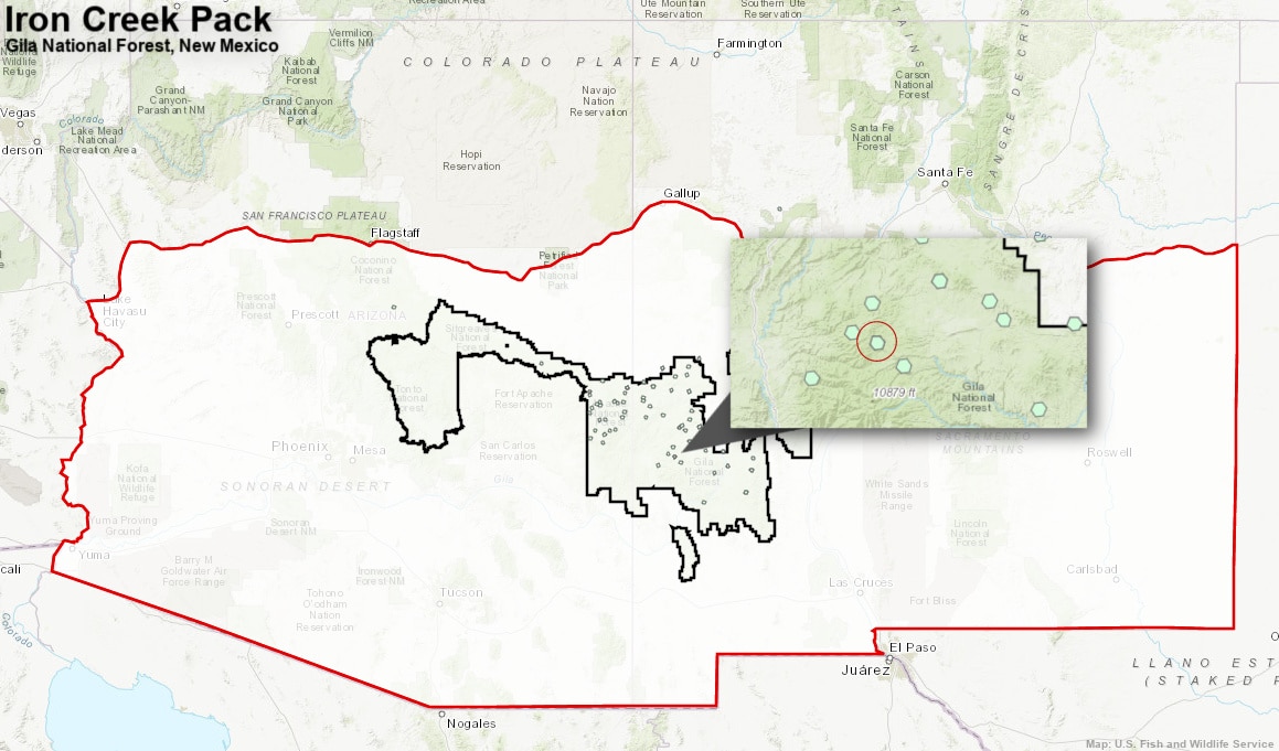 mexican grey wolf map