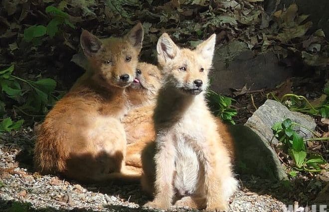 Untitled Design 2023 06 21T164908.292