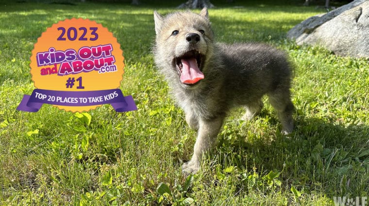 Silas Smile Funny KOAA Wide