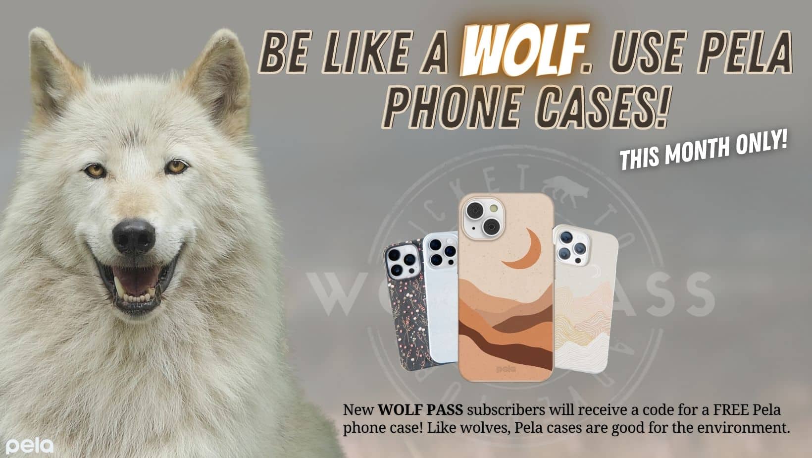 Wide Wolf Pass Pela Promo 2024 (Facebook Cover)