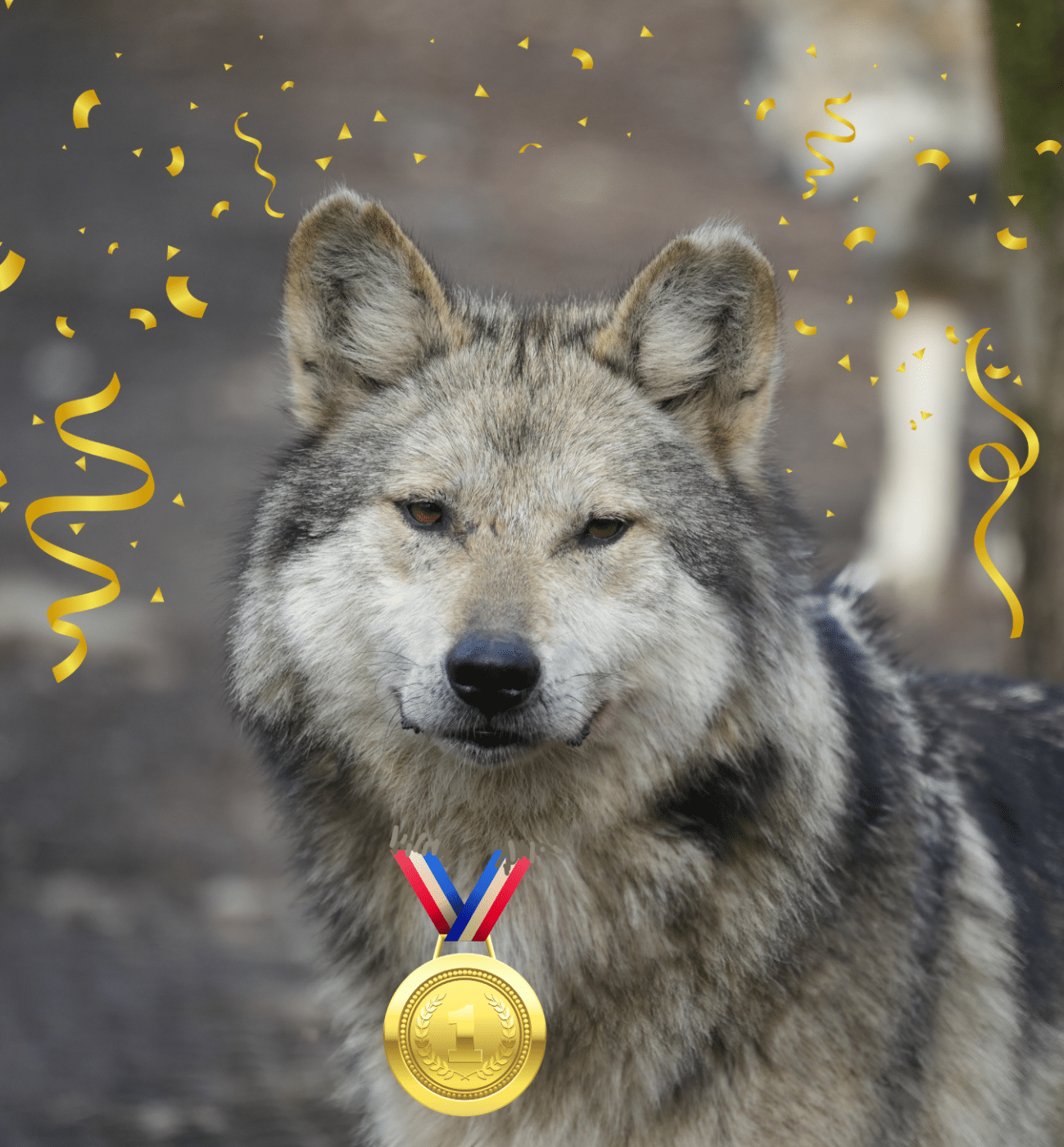 RLAW Wolf Medal