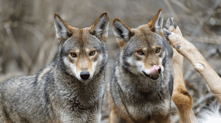 Untitled Design (85)