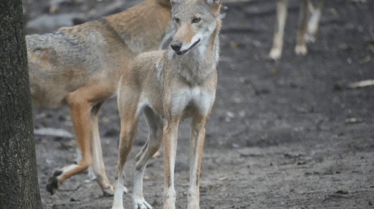 Untitled Design 2025 10 24T105008.362