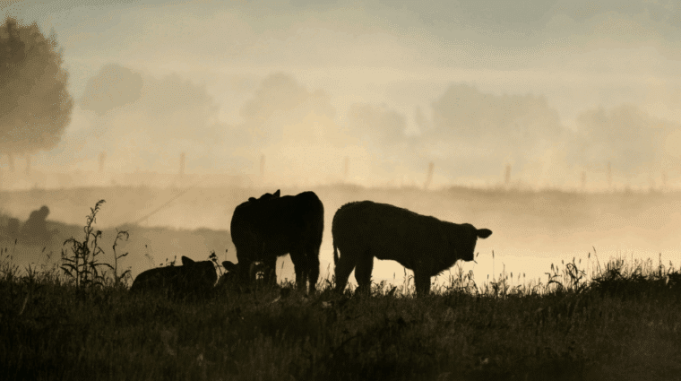 Untitled Design 2025 10 30T152812.548