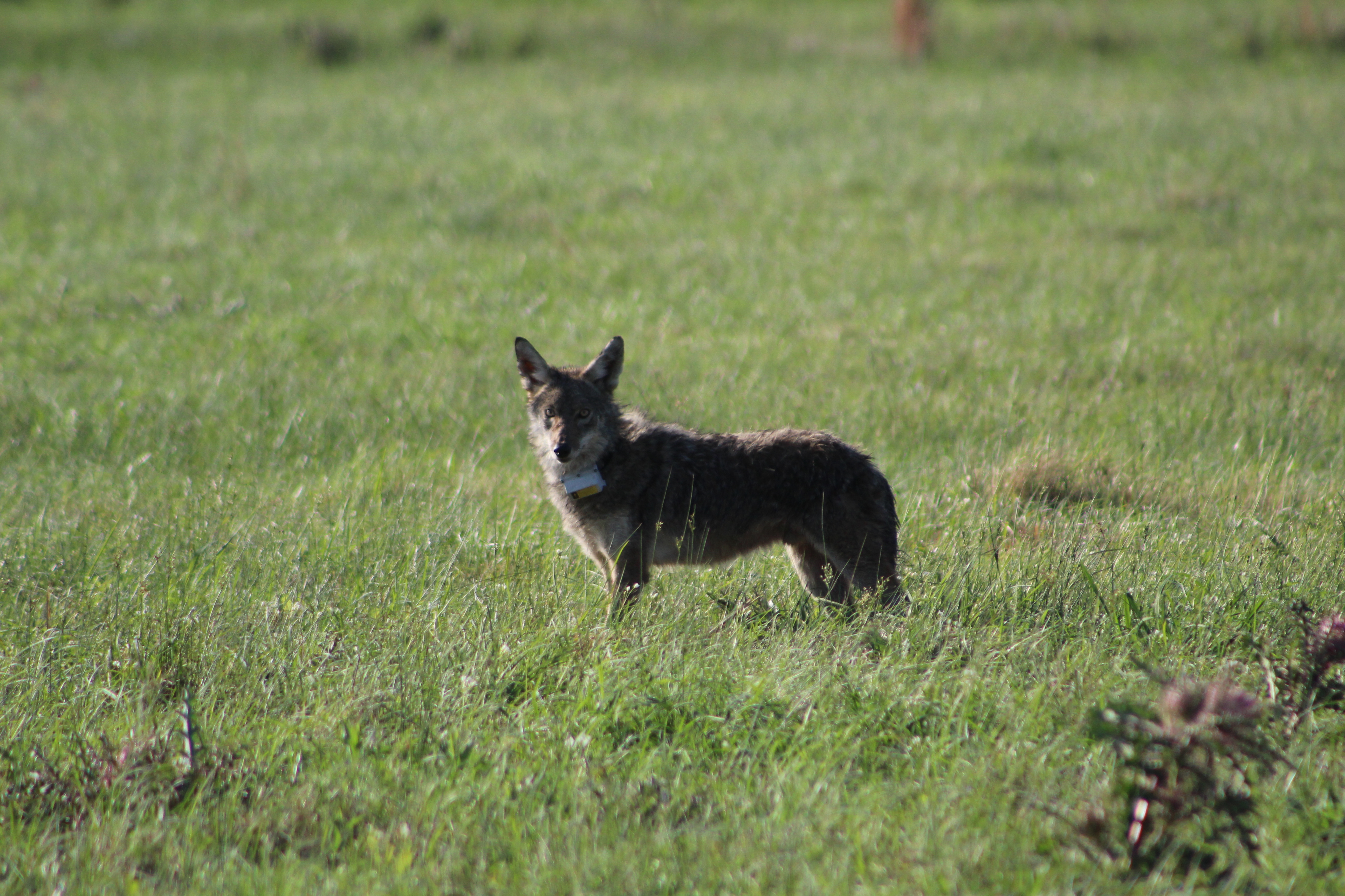 LA19M 05 (LA) 04.01.2021