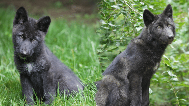 Untitled Design 2026 04 10T141805.808